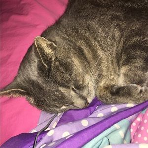 Meet your Posher, Stefanie